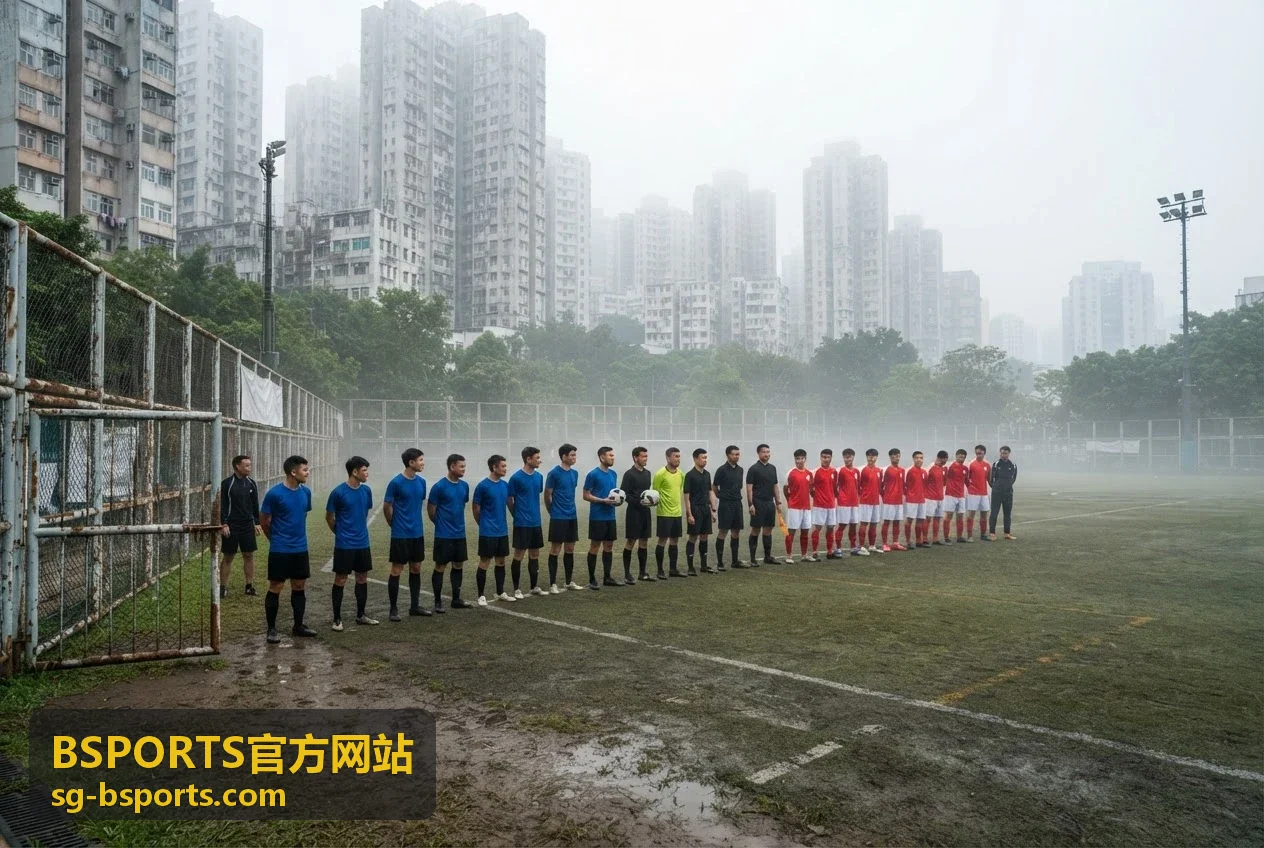 BSPORTS官方网站平台特色服务