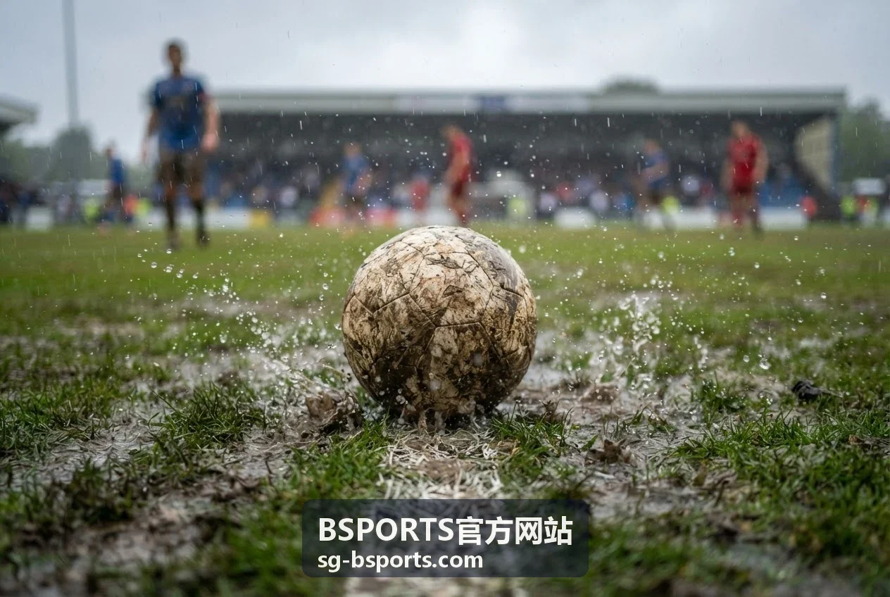 BSPORTS官方网站移动应用下载